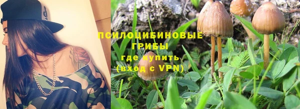 ешки Богородицк
