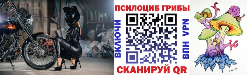 Псилоцибиновые грибы прущие грибы  Кировград 